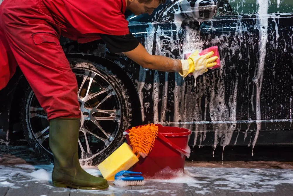 Washing-Tier-IMG
